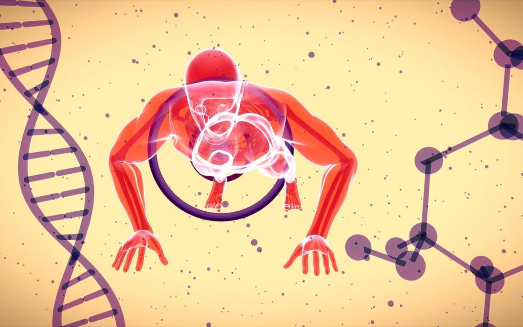 Longevità: i suoi Segreti : Come vivere più a lungo e meglio