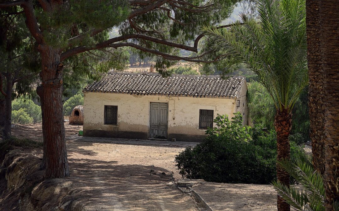 Perché stare da soli a casa fa bene a mente e corpo………