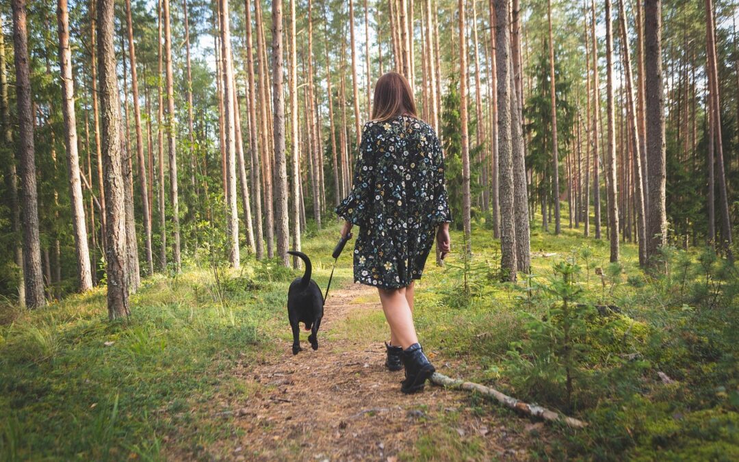 Camminare un’ora al giorno: benefici reali per corpo e mente